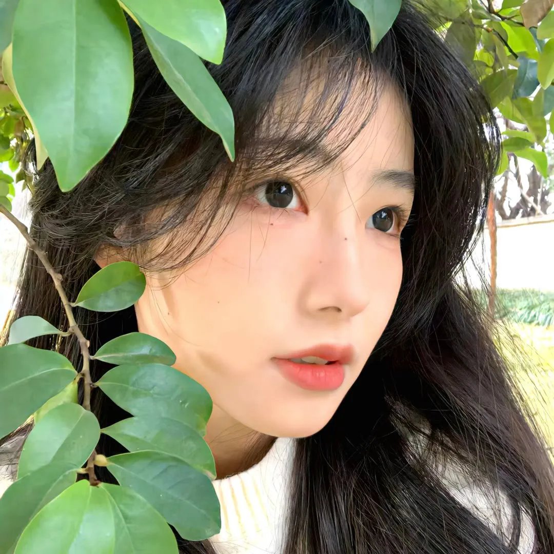 恋夏时光